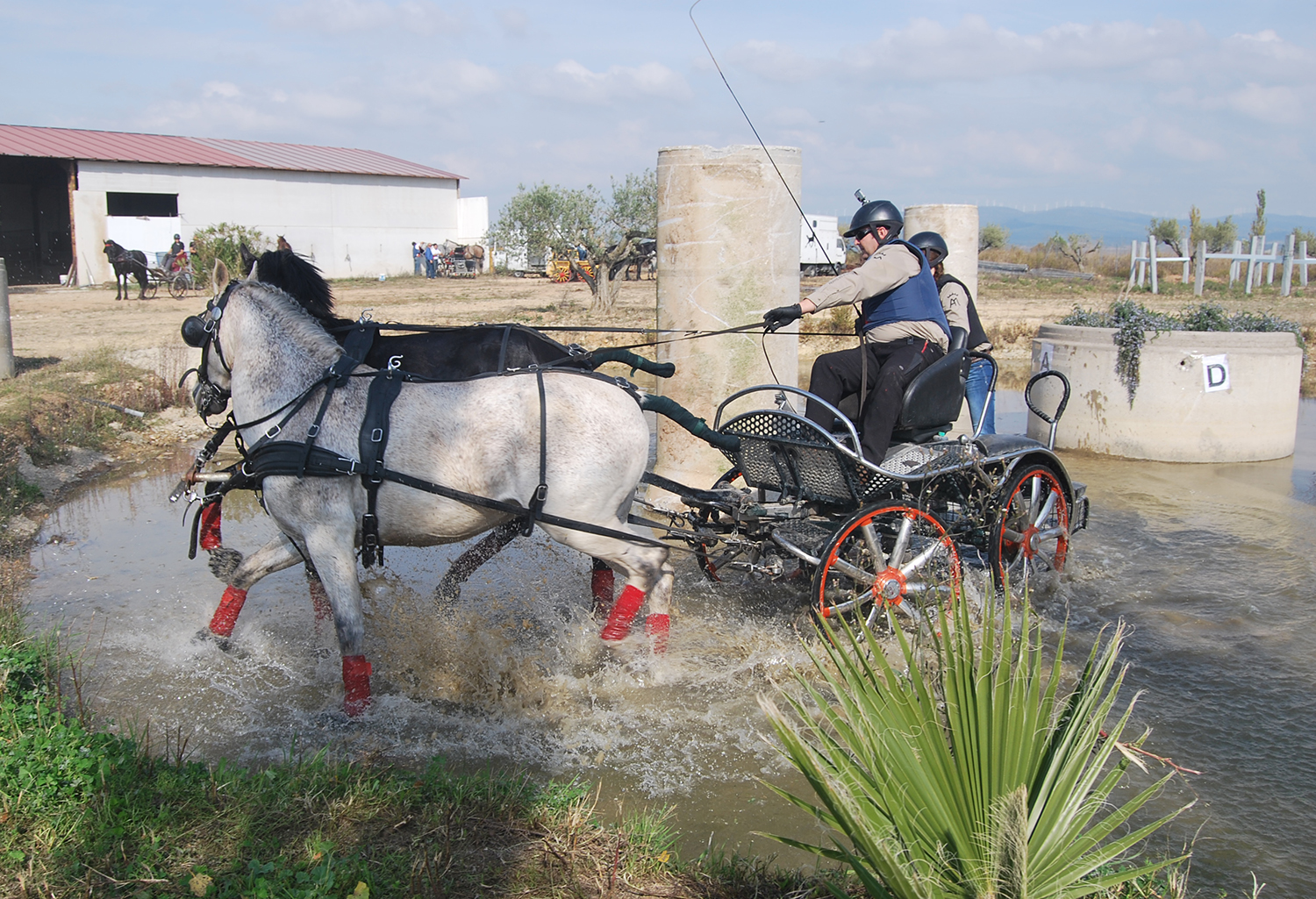 Emocionante Final del Campeonato Navarro de Enganches